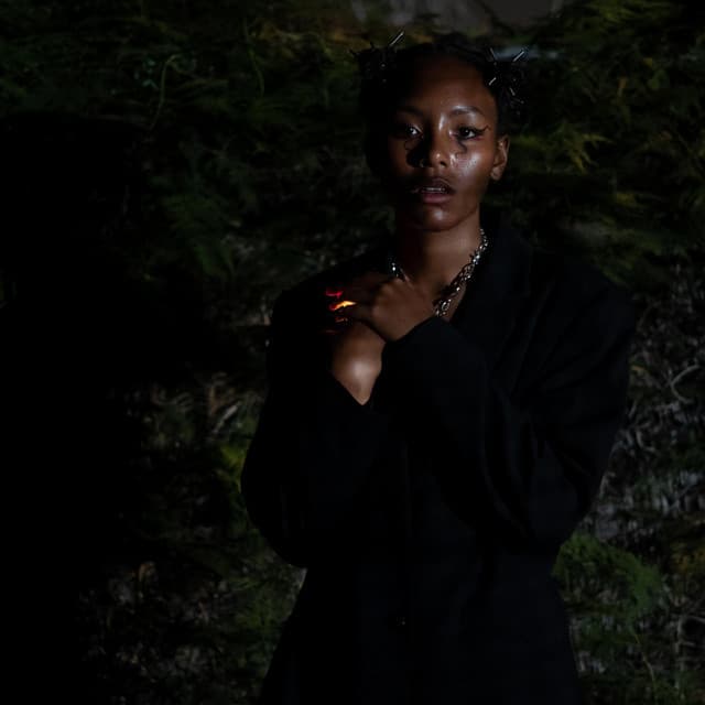 Asiatica's artist profile image