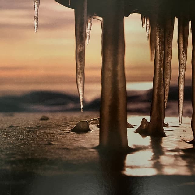 Vibrasphere artist profile image