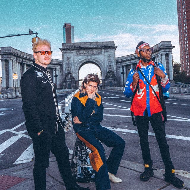 Too Many Zooz's artist profile image
