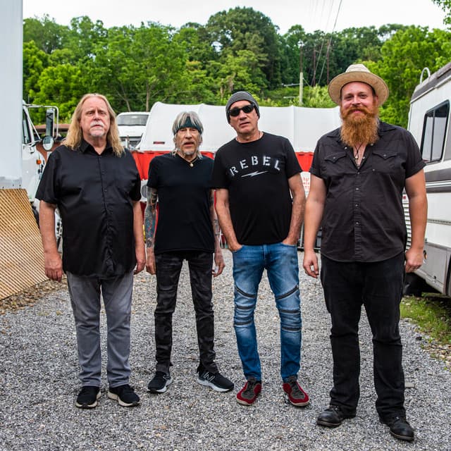 Gov't Mule's artist profile image