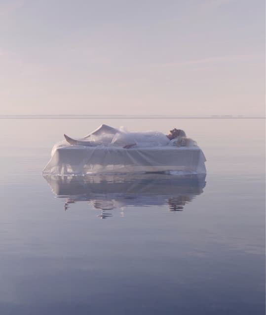 ionnalee's artist profile image