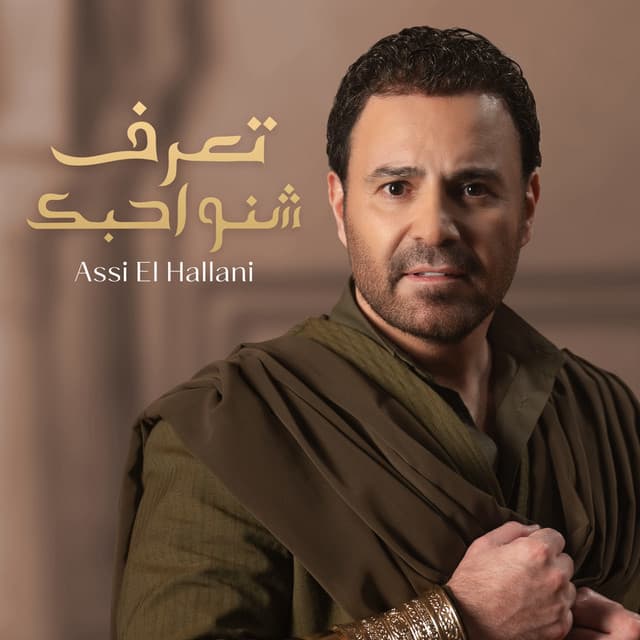 Assi El Hallani artist profile image