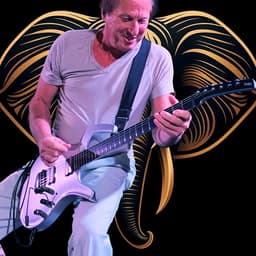 Adrian Belew's artist profile image