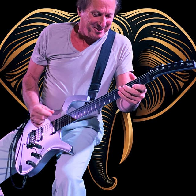 Adrian Belew's artist profile image