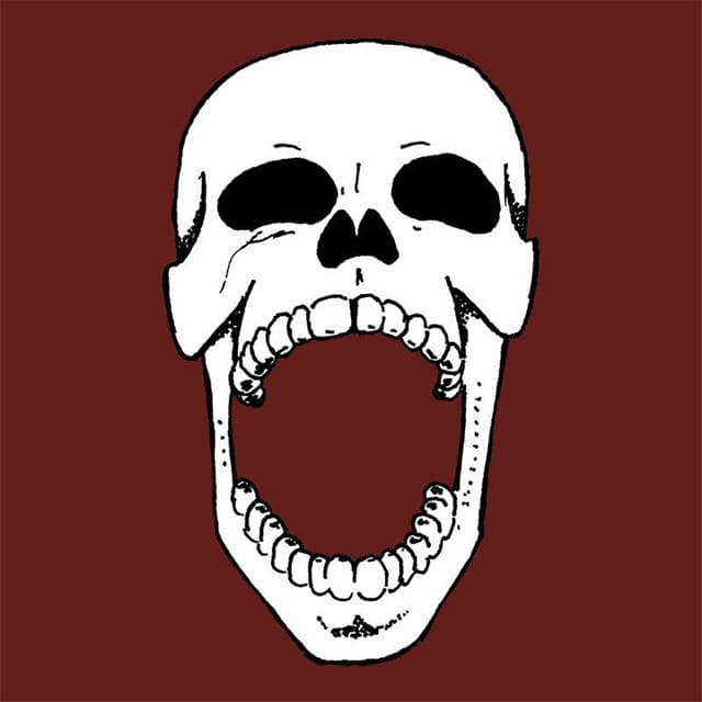 The Jolly Rogers artist profile image