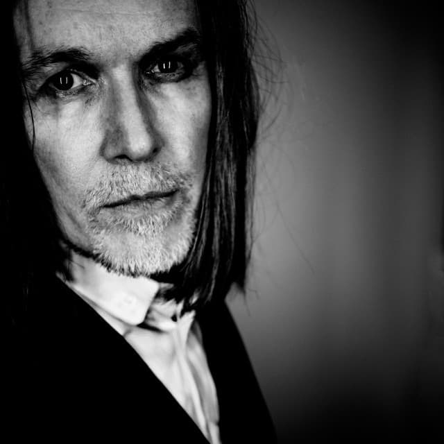 David Sylvian artist profile image