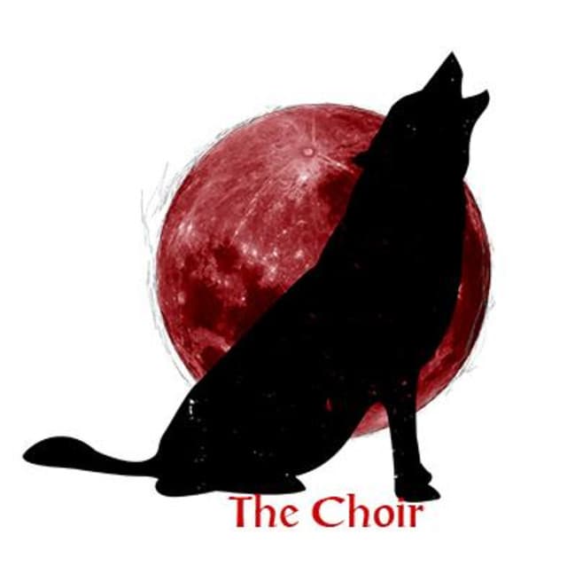 The Choir's artist profile image