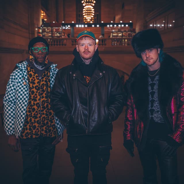 Too Many Zooz artist profile