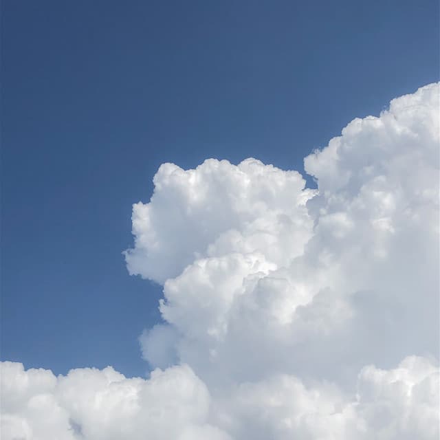 Maitro artist profile image