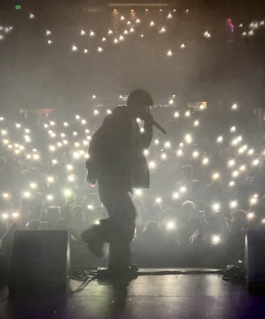 Mikey Rotten artist profile