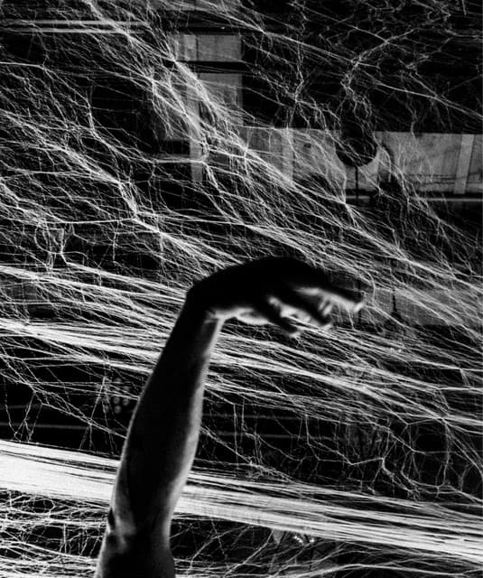 Stuyedeyed artist profile image