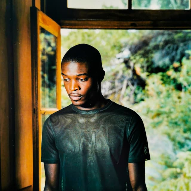 Lynden David Hall artist profile image