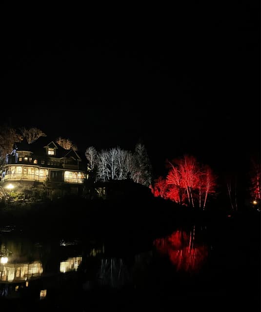 Cxllj artist profile image