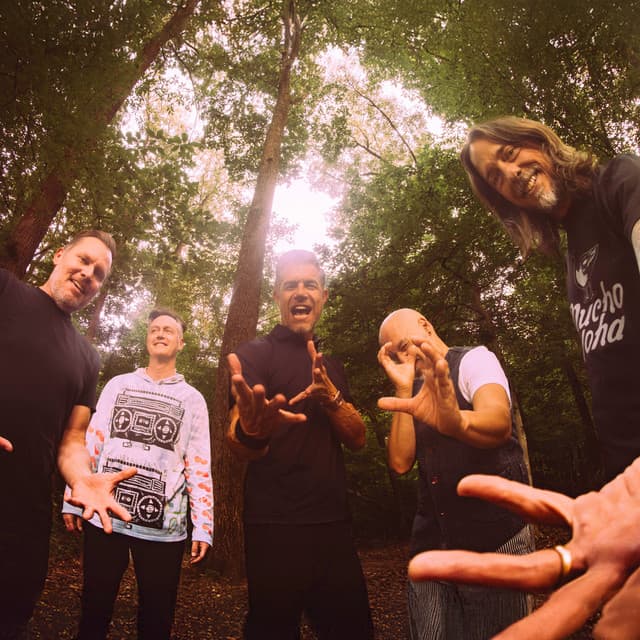 311 artist profile image