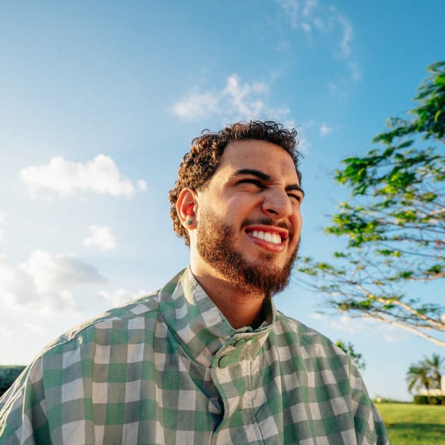 Alleh artist profile