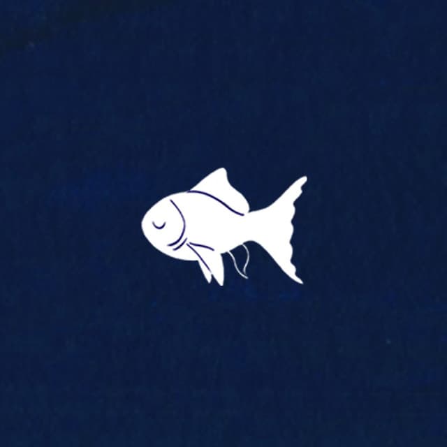 Sleepy Fish artist profile image
