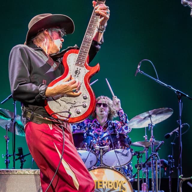 The Waterboys artist profile
