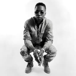 Lupe Fiasco's artist profile image