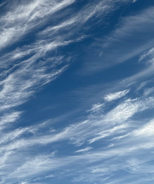 oreglo artist profile image