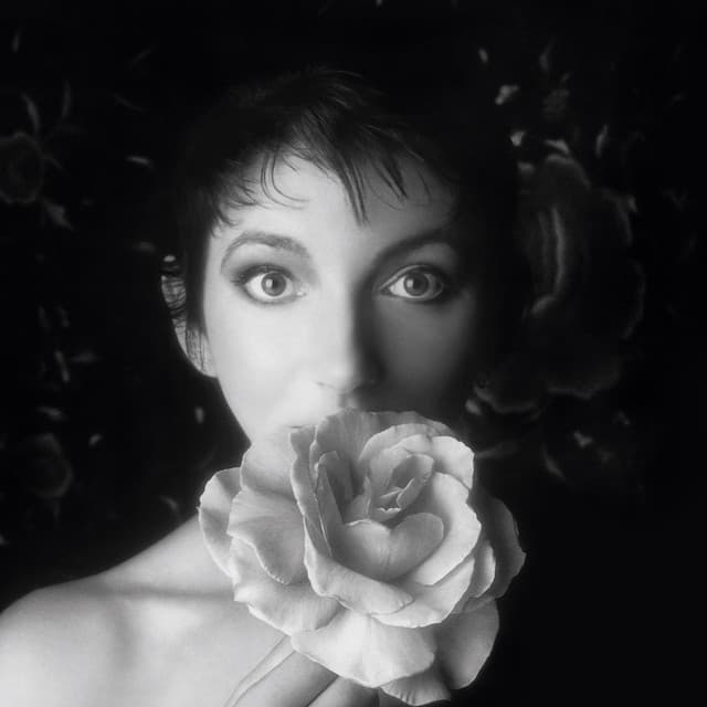 Kate Bush artist profile image