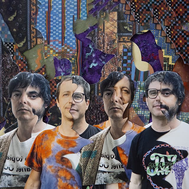 Animal Collective artist profile image