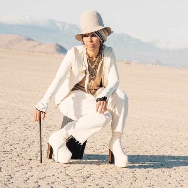 Linda Perry artist profile image