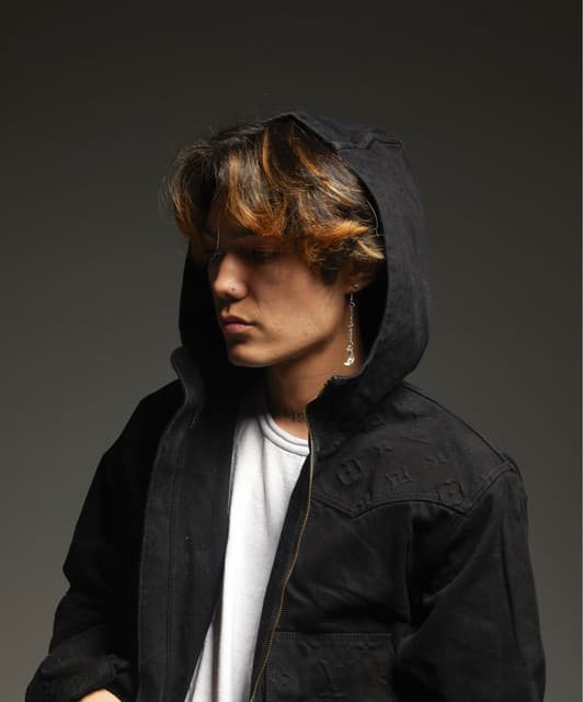 1nonly artist profile image