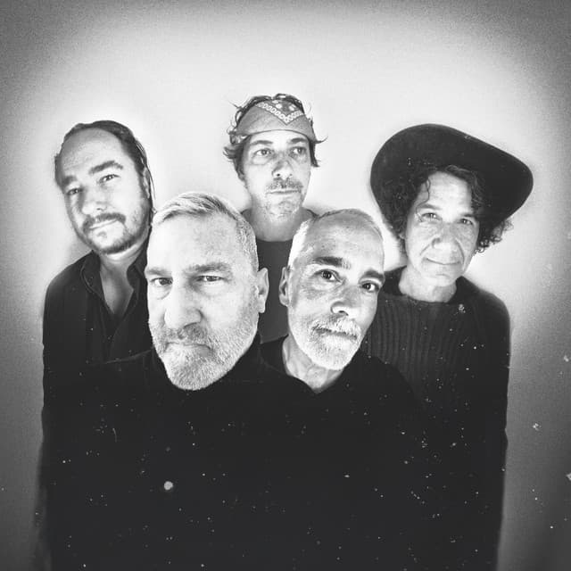 The Afghan Whigs artist profile