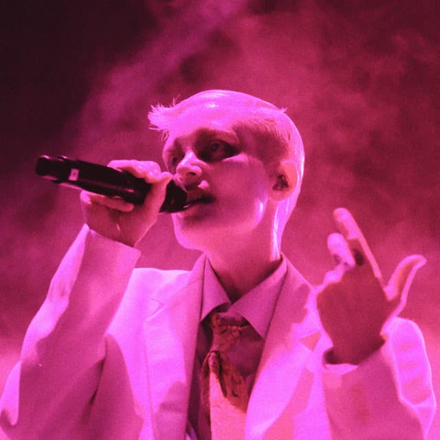 Fever Ray artist profile image