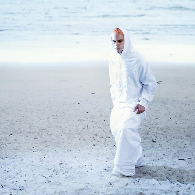 Sega Bodega's artist profile image