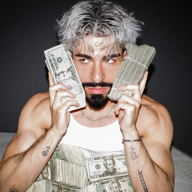 shamlo artist profile image