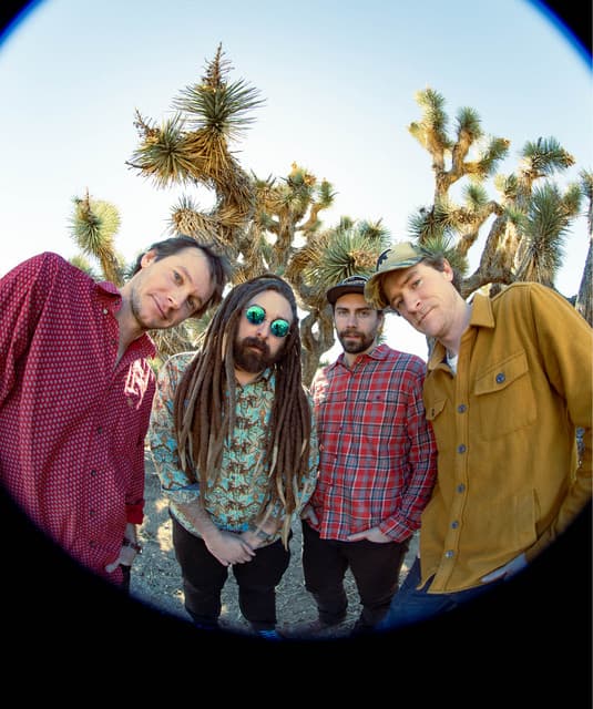 Kitchen Dwellers's artist profile image