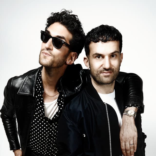 Brothers Macklovitch artist profile image