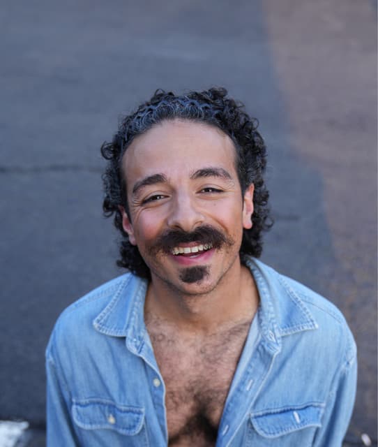 anees artist profile