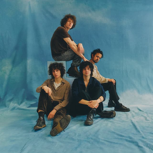 Mystery Jets artist profile image