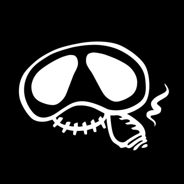 La Vela Puerca artist profile image