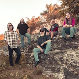 Widespread Panic's artist profile image