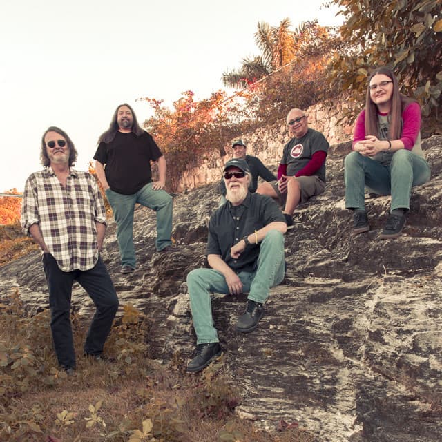 Widespread Panic's artist profile image