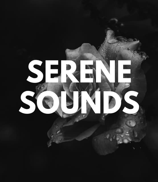 Serene Rose artist profile image