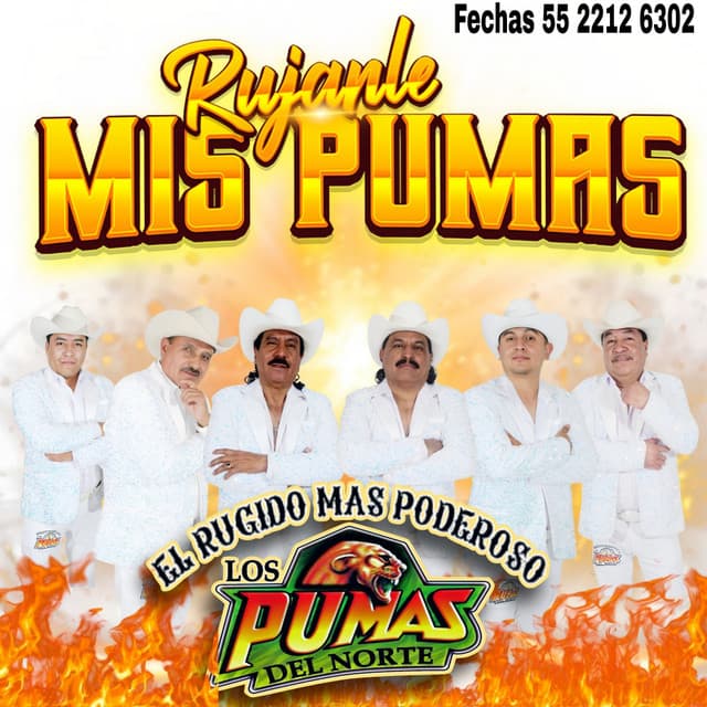 Los Pumas Del Norte artist profile image