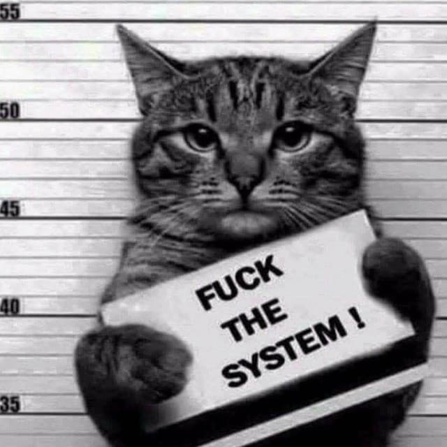 spazma artist profile image