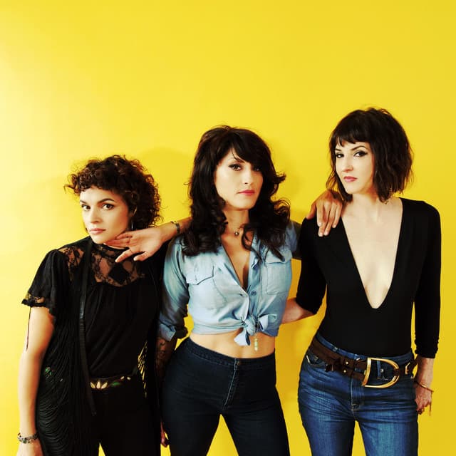 Puss N Boots's artist profile image