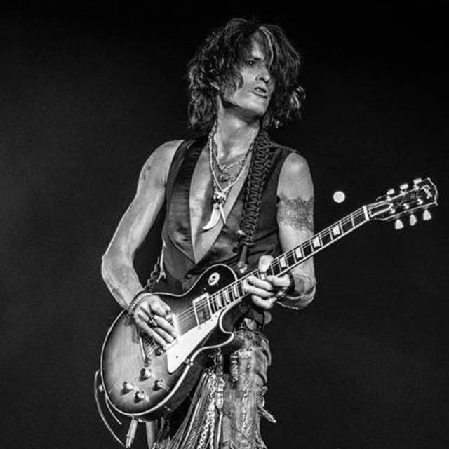 Joe Perry artist profile image