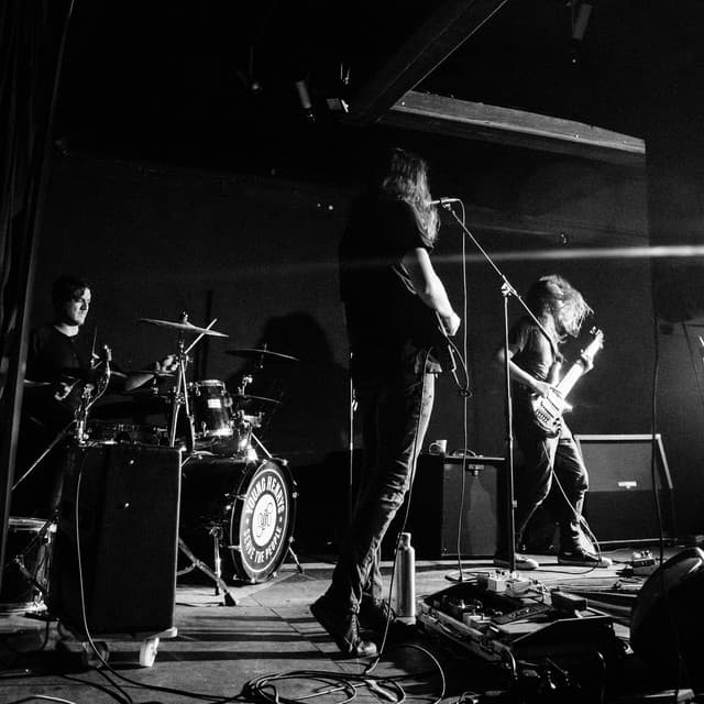 Death In Midsummer artist profile image