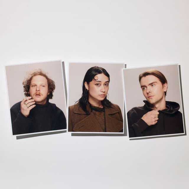 SPIRIT OF THE BEEHIVE's artist profile image