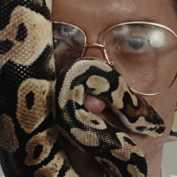 Heavy Lungs's artist profile image