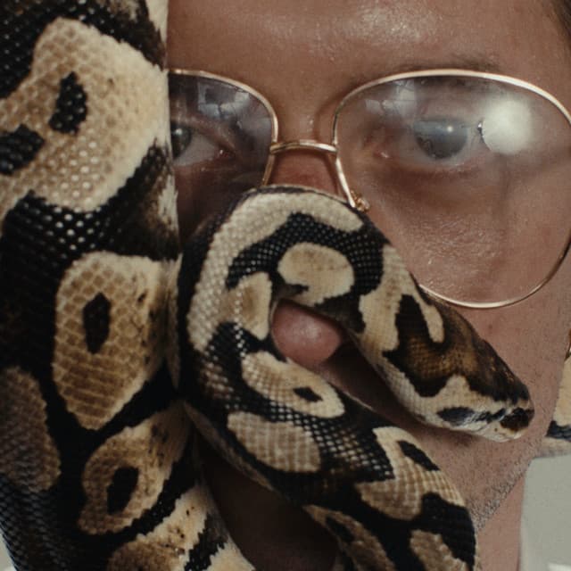 Heavy Lungs artist profile image