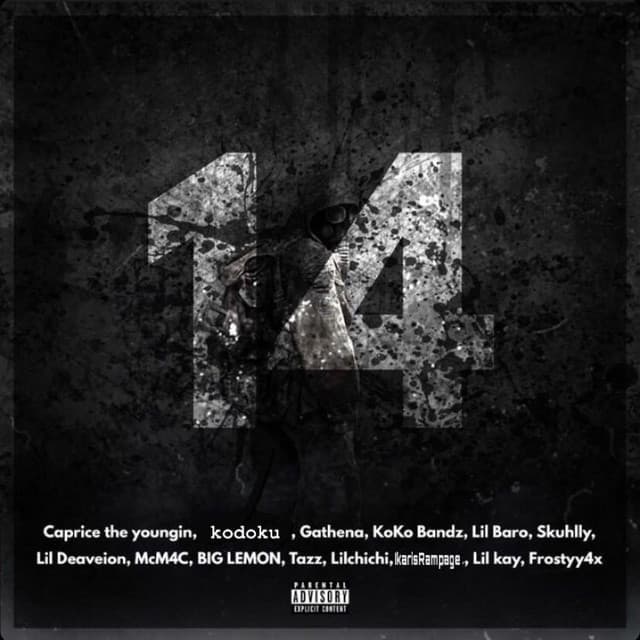 The Next 14 artist profile image