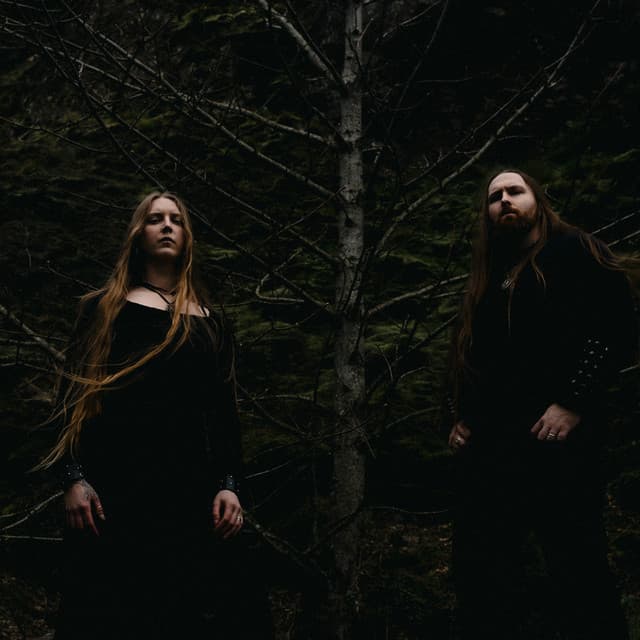 Hulder artist profile