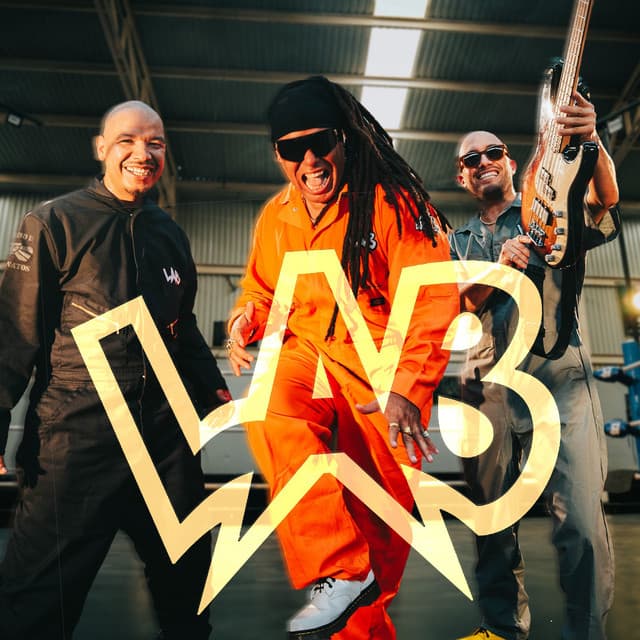 Los Afro Brothers artist profile image